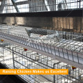 4 Tiers Automatic Manure Removing Battery Cages for Broilers